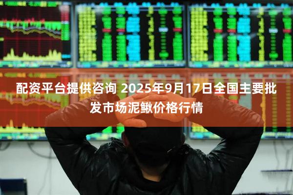配资平台提供咨询 2025年9月17日全国主要批发市场泥鳅价格行情