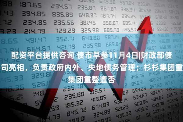 配资平台提供咨询 债市早参11月4日|财政部债务管理司亮相，负责政府内外、央地债务管理；杉杉集团重整遭否